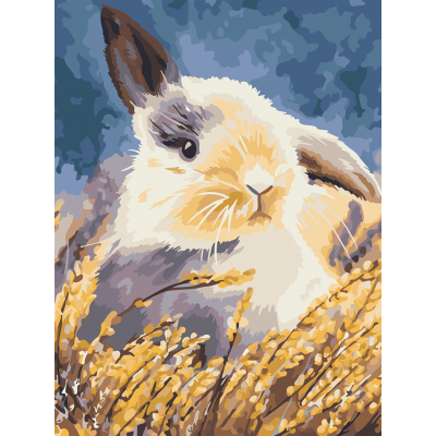 УЦЕНКА - Картина по номерам на холсте ТРИ СОВЫ "Кролик", 30*40, с акриловыми красками и кистями