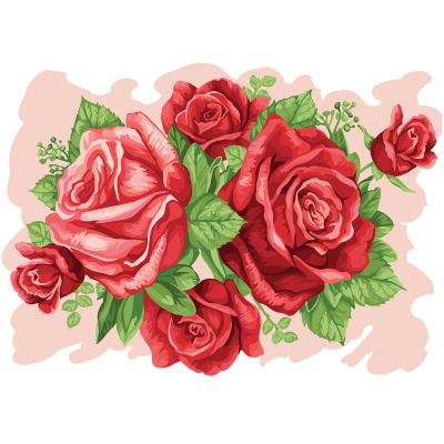 УЦЕНКА - Картина по номерам на картоне ТРИ СОВЫ "Розы", 30*40, с акриловыми красками и кистями