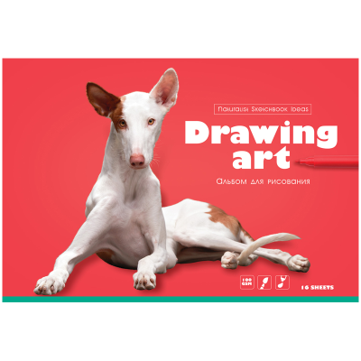 Альбом для рисования 16л., А4, на скрепке BG "Drawing art"