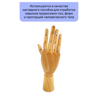 УЦЕНКА-Манекен художественный "рука" Гамма "Студия", мужская правая, деревянный, 30см