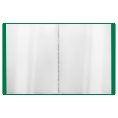 Папка с 60 вкладышами СТАММ "Стандарт" А4, 21мм, 700мкм, пластик, зеленая