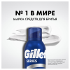 Пена для бритья Gillette, восстанавливающая, 200мл (ПОД ЗАКАЗ)