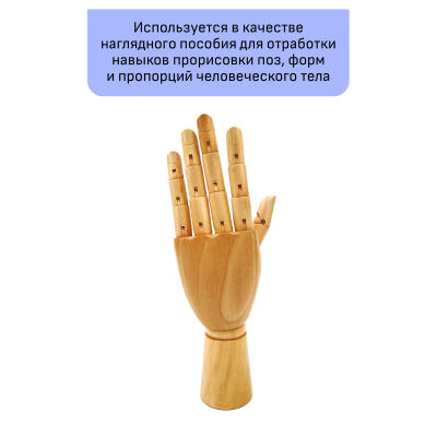 УЦЕНКА - Манекен художественный "рука" Гамма "Студия", женская левая, деревянный, 25см