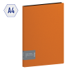 Папка с 40 вкладышами Berlingo "Color Zone" А4, 21мм, 1000мкм, оранжевая