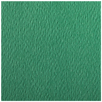 Цветная бумага 500*650мм, Clairefontaine "Etival color", 24л., 160г/м2, темно-зеленый, легкое зерно, 30%хлопка, 70%целлюлоза