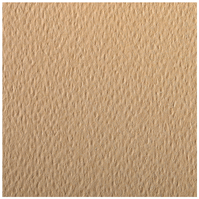 Цветная бумага 500*650мм, Clairefontaine "Etival color", 24л., 160г/м2, кэмел, легкое зерно, 30%хлопка, 70%целлюлоза
