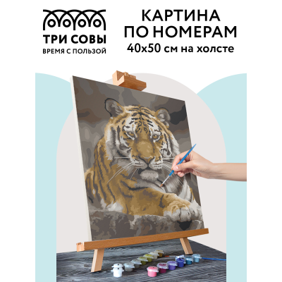Картина по номерам на холсте ТРИ СОВЫ "Тигриная стать", 40*50, с акриловыми красками и кистями