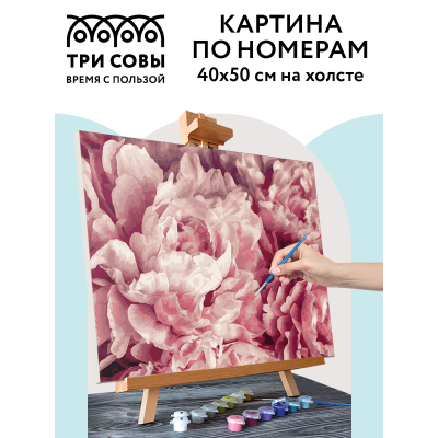 Картина по номерам на холсте ТРИ СОВЫ "Нежные пионы", 40*50, с акриловыми красками и кистями