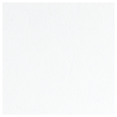 Картон белый А4 двустор., Мульти-Пульти, 16л., чистоцеллюлозный, в папке, "Енот в сказке"